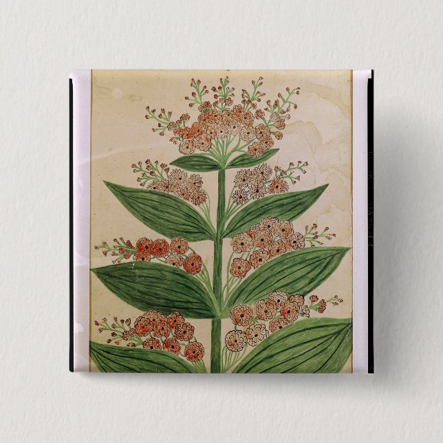 Chapa Cuadrada Genciana con las flores imaginarias (Anverso)