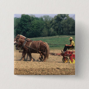 Chapa Cuadrada Gente sencilla de Amish Country en la agricultura