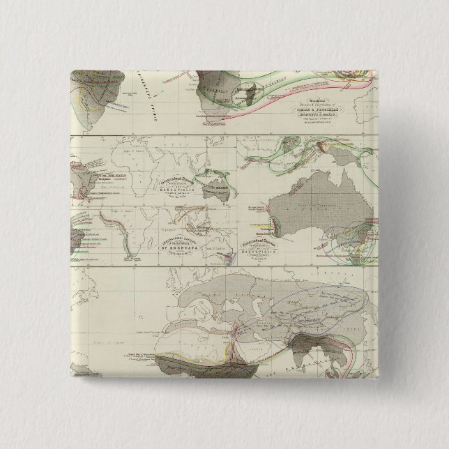 Chapa Cuadrada Geografía zoológica (Anverso)