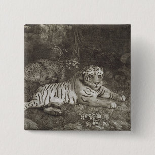 Chapa Cuadrada George Stubbs el dos Tygers, grabado por el