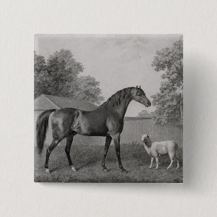 Chapa Cuadrada George Stubbs el Dungannon, grabado por George