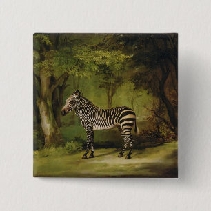 Chapa Cuadrada George Stubbs el una cebra, 1763 (aceite en