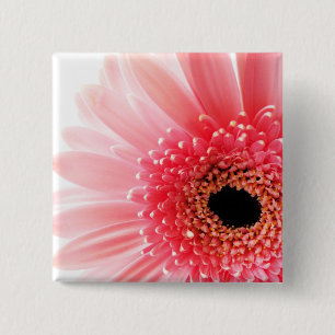Chapa Cuadrada Gerbera