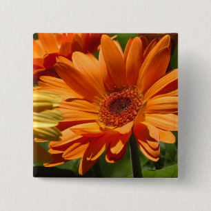 Chapa Cuadrada Gerbera anaranjado