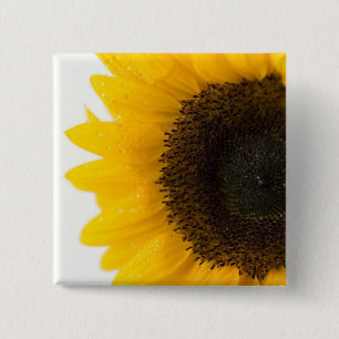 Chapa Cuadrada girasol