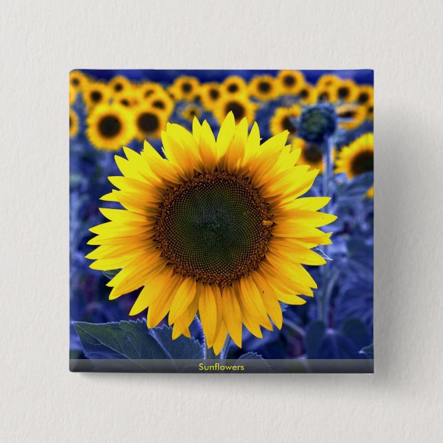 Chapa Cuadrada Girasoles (Anverso)