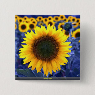 Chapa Cuadrada Girasoles