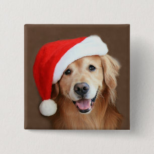 Chapa Cuadrada Golden retriever con el gorra de Santa