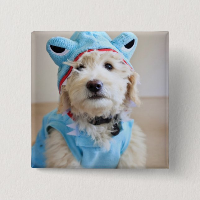 Chapa Cuadrada Goldendoodle En Traje De Tiburón (Anverso)