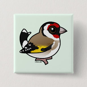Chapa Cuadrada Goldfinch europeo