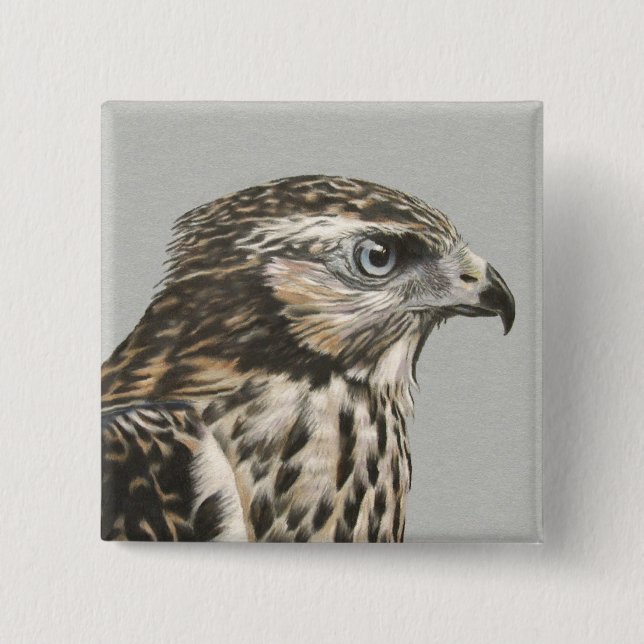 Chapa Cuadrada Goshawk inmaduro (Anverso)