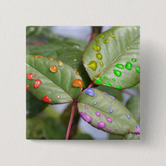 Chapa Cuadrada Goteo con orgullo