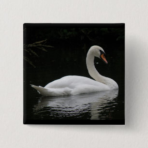 Chapa Cuadrada Graceful White Swan Button