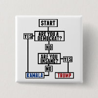 Gracioso diagrama de flujo electoral voto contra K