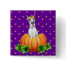 Gran Dane Halloween Harlequin Dane-O-Lantern