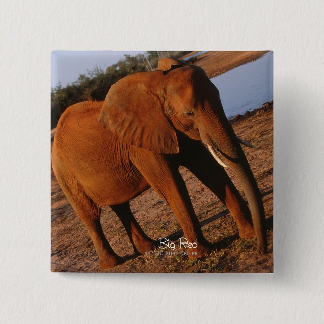 Chapa Cuadrada Gran elefante rojo (Anverso)