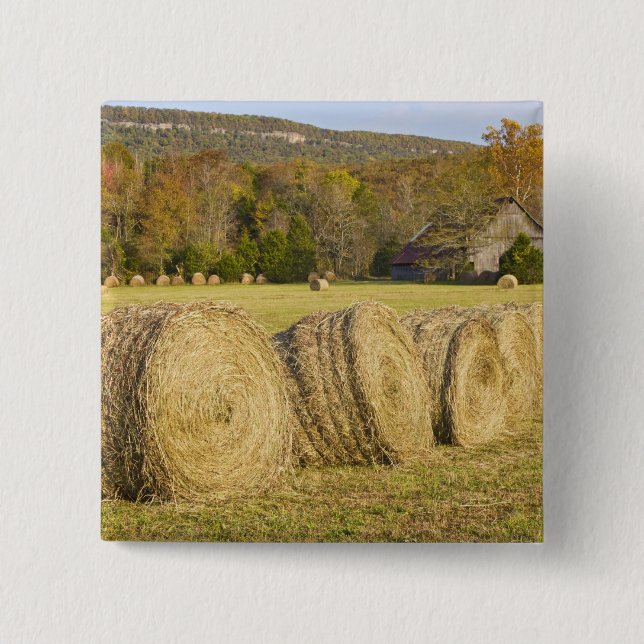 Chapa Cuadrada Granja histórica en el río nacional del búfalo, (Anverso)