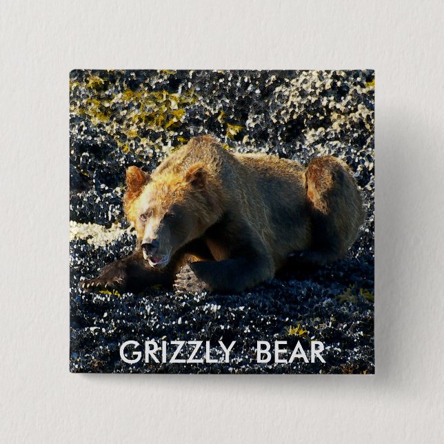 CHAPA CUADRADA GRIZZLY BEAR ART (Anverso)