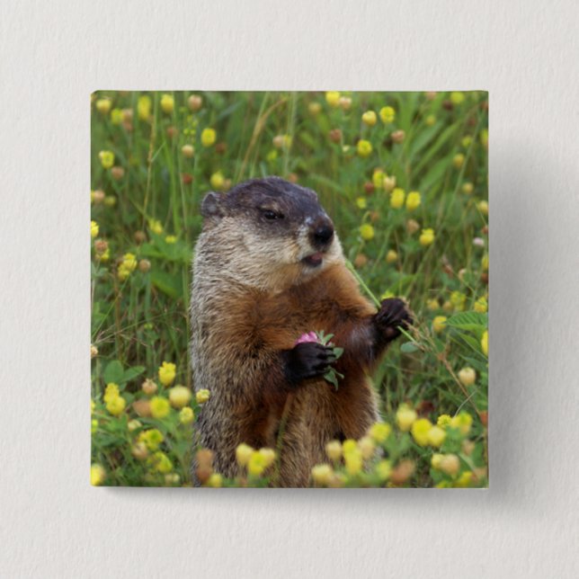 Chapa Cuadrada Groundhog Pose (Anverso)