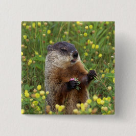 Chapa Cuadrada Groundhog Pose