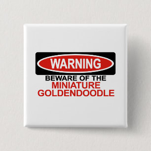 Chapa Cuadrada Guárdese de Goldendoodle miniatura