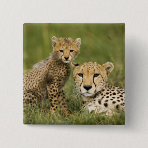 Chapa Cuadrada Guepardo, Acinonyx jubatus, con cría