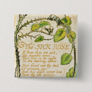 Chapa Cuadrada Guillermo Blake el   el color de rosa enfermo, de