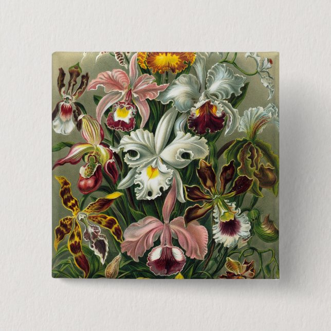 Chapa Cuadrada Haeckel Orchids (Anverso)