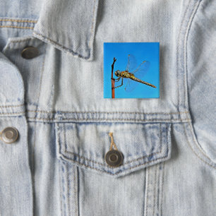 Chapa Cuadrada Hang On Artistic Dragonfly Against Cerulean Blue
