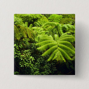 Chapa Cuadrada Hawái, Isla Grande, Exuberante vegetación tropical