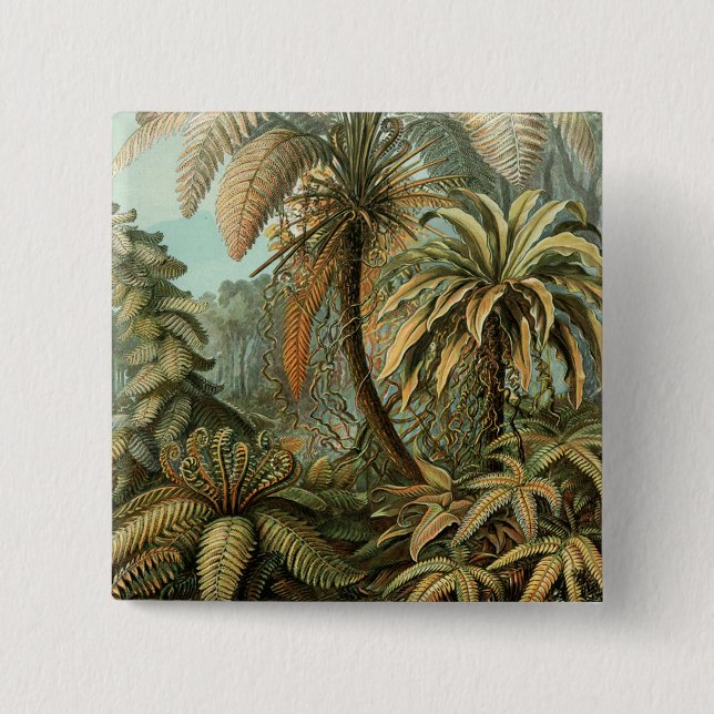 Chapa Cuadrada Helechos Palma Árbol Antiguo Arte Botánico Helecho (Anverso)
