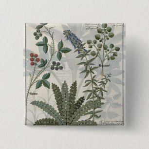 Chapa Cuadrada Helechos, zarzas y flores