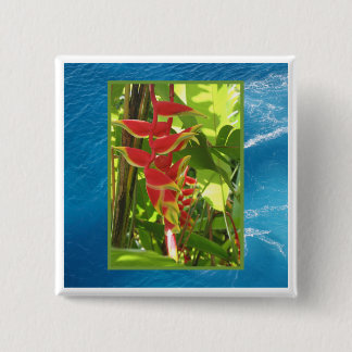 Chapa Cuadrada Heliconia rostrata