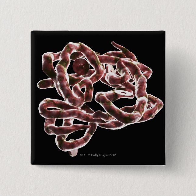 Chapa Cuadrada Hemoglobina (Anverso)