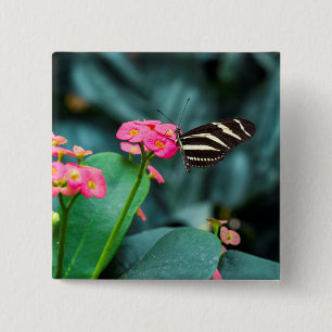 Chapa Cuadrada Hermosa mariposa en una flor rosa