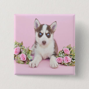 Chapa Cuadrada Hermoso cachorro humilde con rosas rosas rosas