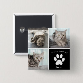 Chapa Cuadrada Hermoso gato Personalizado Mascota foto Keepsake