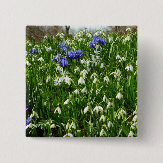 Chapa Cuadrada Hillside of Early Spring Flowers Landscape