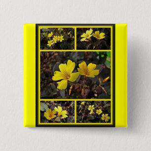 Chapa Cuadrada Hogar Oxalis De Flor Amarilla