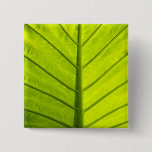 Chapa Cuadrada Hojas verdes vetadas de follaje tropical en