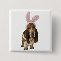 Hound de Basset con orejas de conejito