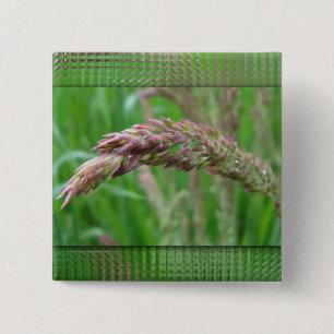 Chapa Cuadrada How the Grass Grows Button