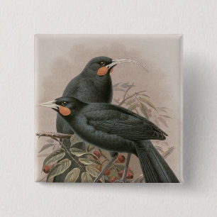 Chapa Cuadrada Huia