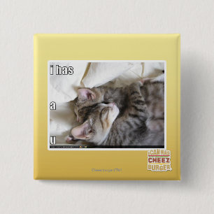 Chapa Cuadrada I tiene un u