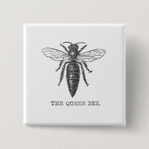 Chapa Cuadrada Ilustración Antigüa de Insecto Avispa Abeja Reina