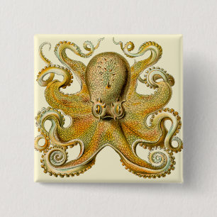 Chapa Cuadrada Ilustración antigua de pulpo monstruo marino