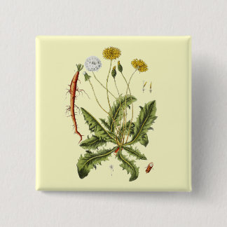 Chapa Cuadrada Ilustracion Dandelion de época
