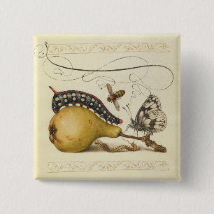 Chapa Cuadrada Ilustración de abeja de mariposa fruta insecto