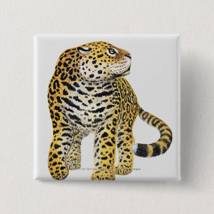 Chapa Cuadrada Ilustracion de Jaguar con la cabeza en perfil