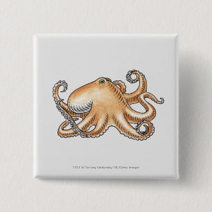 Chapa Cuadrada Ilustracion de un pulpo